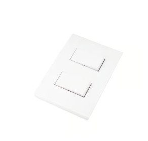 Placa c/2 int. sencillos color blanco (armada)